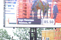 Cheyenne Wednesday Saddle Bronc (469)Sage Newman, 85.5 points on Summit Pro Rodeo’s Legend