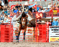 Cheyenne Wednesday Saddle Bronc (470)Sage Newman, 85.5 points on Summit Pro Rodeo’s Legend