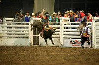 MSU College Rodeo Two