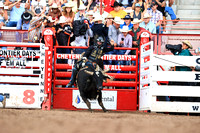 Cheyenne Friday Semi Finals Bull Riding (475) Sage Kimzey