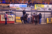 Rapid Tie Down Roping Thursday