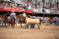 Cheyenne Wild Horse Race Tuesday