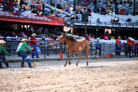 Cheyenne Wild Horse Race Friday
