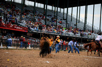 Cheyenne Wild Horse Race Monday