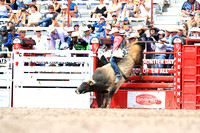 Monday Section two Bull Riding