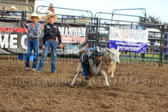 Mandan Perf One Tuesday (741) Sheep riding