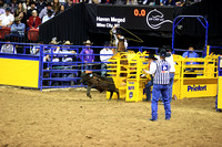 Round 7 Tie Down Roping (1642) Haven Meged