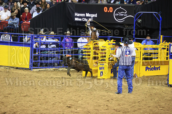 Round 7 Tie Down Roping (1642) Haven Meged