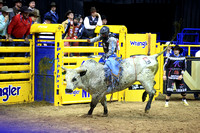 Round 6 Bull Riding (979) Tristen Hutchings, Caddyshack, Rocky Mountain, Winner