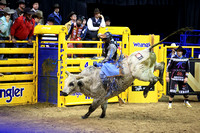 Round 6 Bull Riding (978) Tristen Hutchings, Caddyshack, Rocky Mountain, Winner