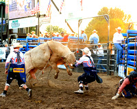 Mandan Perf One Tuesday (1609) Bull Riding Brody Yeary, on Dakota Rodeo's Trump Train, 86.5 points
