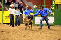 Sunday Section 1 (7) Mutton Busting