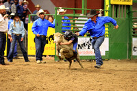 Sunday Section 1 (6) Mutton Busting