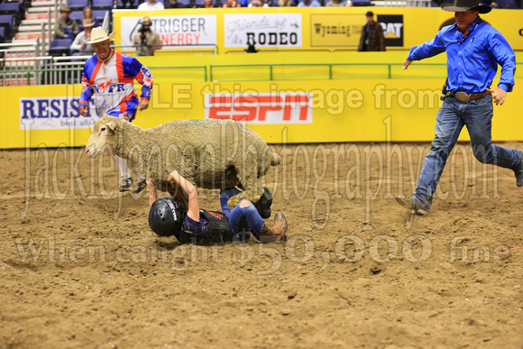 Sunday Section 1 (12) Mutton Busting