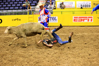 Sunday Section 1 (13) Mutton Busting