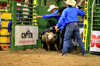 Sunday Section 1 (19) Mutton Busting