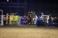 Thursday Perf Tie Down Roping