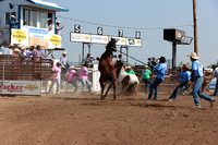 wild horse races