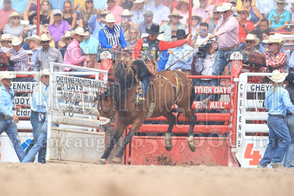 Cheyenne Short RD Saddle Bronc (151)