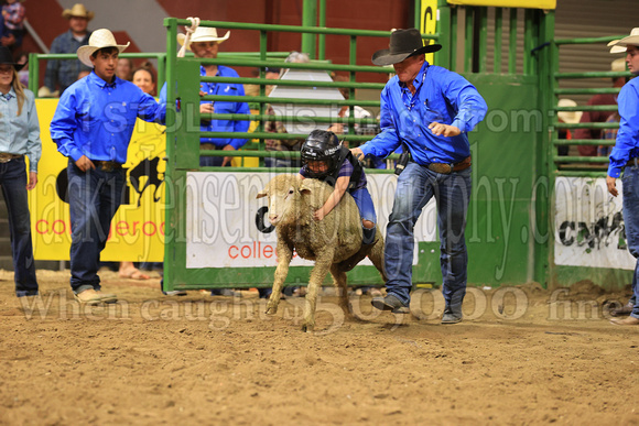Sunday Section 1 (5) Mutton Busting