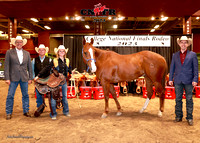 Saturday Perf Awards womens Horse of the year No Mistaken Hesfamus and Paige Rasmussen  (151)_30