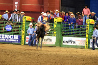 Wednesday Perf SaddleBronc Bailey Small PANHDL, Blind Melon, VOLD(221)