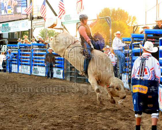 Mandan Perf One Tuesday (1604) Bull Riding Brody Yeary, on Dakota Rodeo's Trump Train, 86.5 points