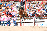 Cheyenne Thursday Saddle Bronc (31)