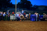 Circle PRCA Friday Tie Down roping