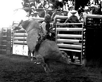 Mandan Perf One Tuesday (1717) Bull Riding Wacey Schalla, on Dakota Rodeo's Sneaky Situation bw-topaz-sharpen