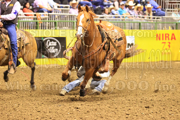 Monday Steer Wrestling UWY Chadron Coffield(46)