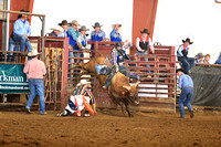 Shoot Out Bull Riding