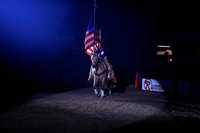 American Flag Horse