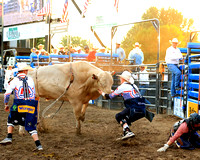 Mandan Perf One Tuesday (1608) Bull Riding Brody Yeary, on Dakota Rodeo's Trump Train, 86.5 points