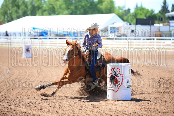Cheyenne Barrel Slack (239)