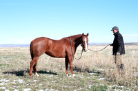 Spur Cross Ranch  (16)