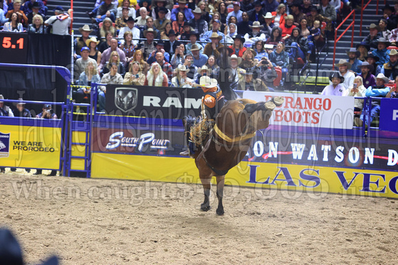 Round One 23' (743) Saddle Broncs Brody Cress Rubels Big Stone Rodeo