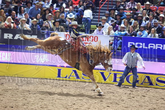 Round One 23' (882) Saddle Broncs Ben Anderson Hitman Cervi Championship