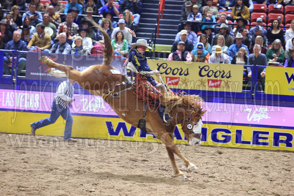 Round One 23' (884) Saddle Broncs Ben Anderson Hitman Cervi Championship