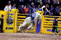 NFR 23 Round Three (3907) Bull Riding Jared Parsonage Trump Train Dakota Rodeo