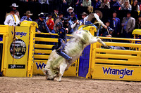NFR 23 Round Three (3900) Bull Riding Jared Parsonage Trump Train Dakota Rodeo