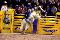 NFR 23 Round Three (3899) Bull Riding Jared Parsonage Trump Train Dakota Rodeo