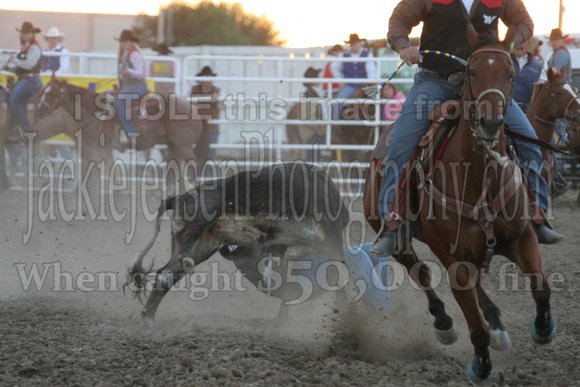 Nrothern College Rodeo 08 206