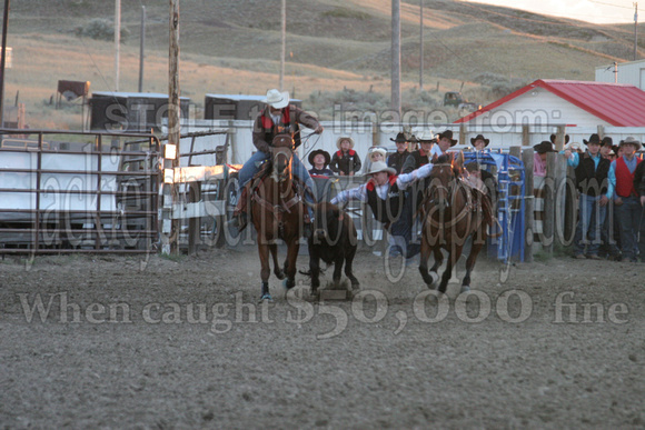 Nrothern College Rodeo 08 231