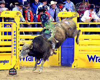 NFR RD ONE (6219) Bull Riding , JB Mauney, Cocktail Diarrhea, Painted Poney Championship, Winner -web