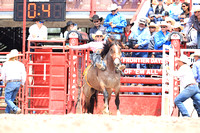Cheyenne Short RD  Saddle  Bronc