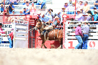 Cheyenne Frontier Days 19' Rookie Saddle Bronc Riding Thursday