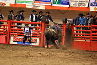 Rodeo Rapid Extreme Bulls (2044)
