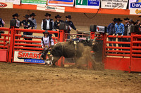 Rodeo Rapid Extreme Bulls (2046)