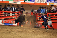 Rodeo Rapid Extreme Bulls (2054)